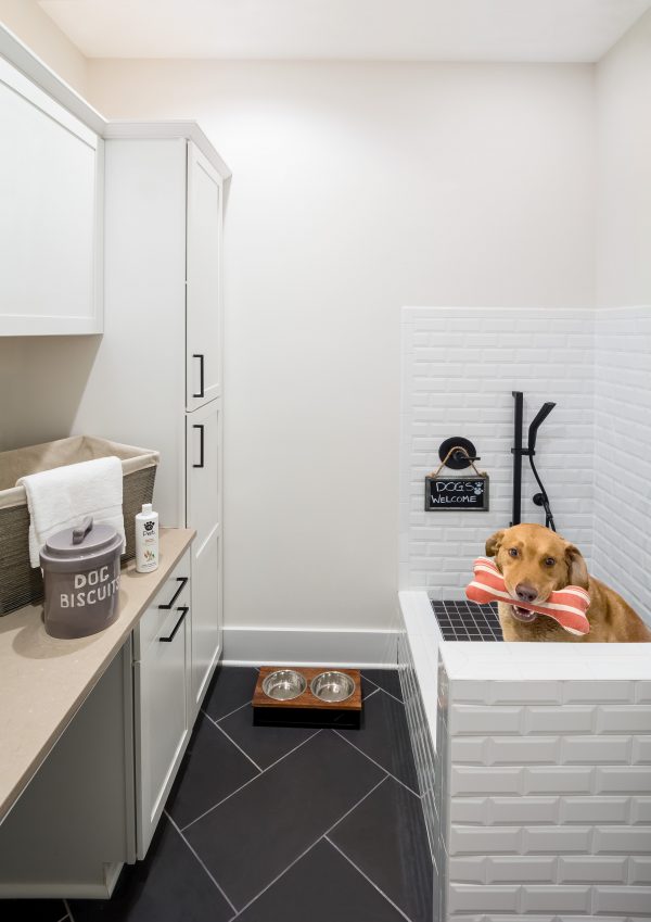 A Pet’s Palace - Housing Design Matters